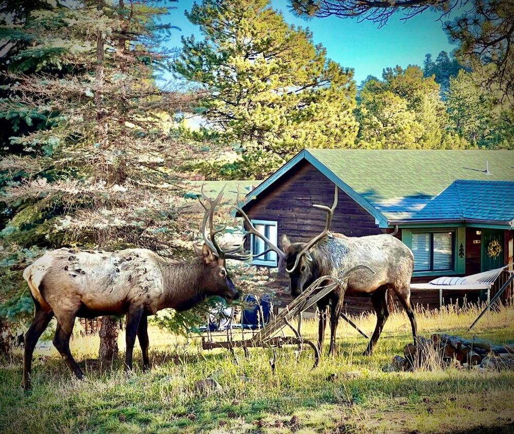Mountain Shadows Resort 에스테스 파크 외부 사진
