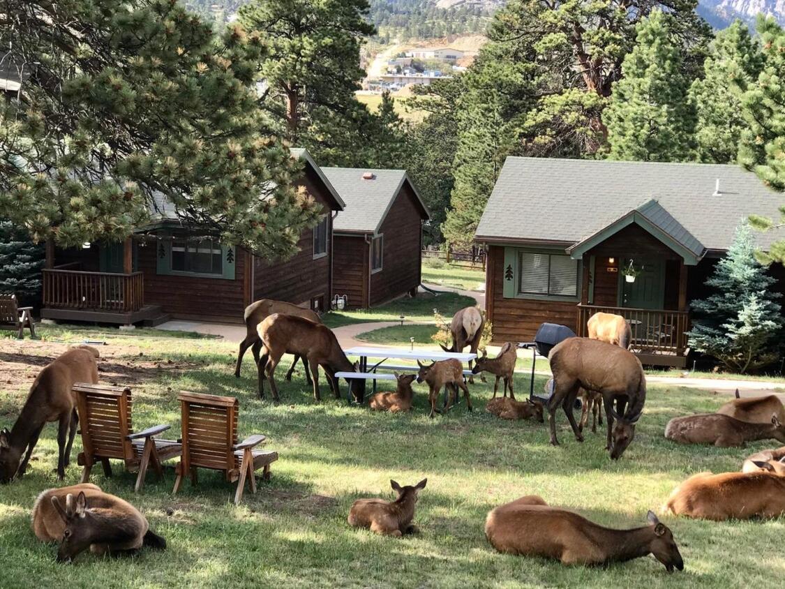 Mountain Shadows Resort 에스테스 파크 외부 사진
