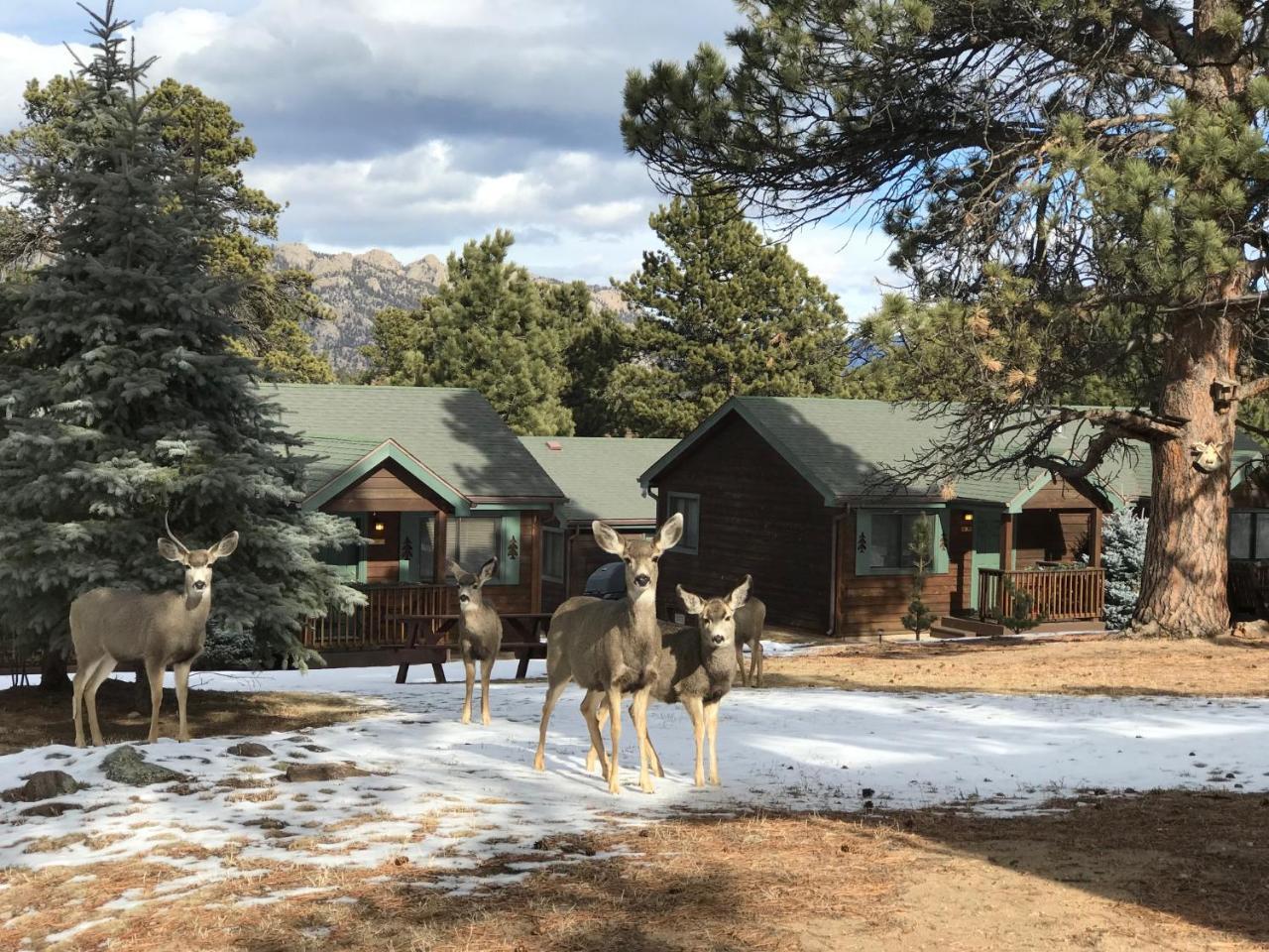 Mountain Shadows Resort 에스테스 파크 외부 사진